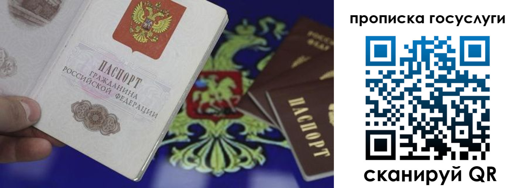 прописка для школы в Подольске
